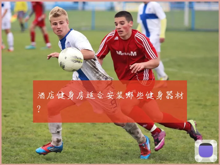 酒店健身房适合安装哪些健身器材？