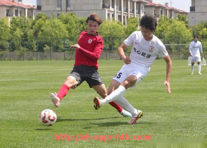 华体会hth官方网站下载-意甲球队粉丝数量排行榜及增长趋势